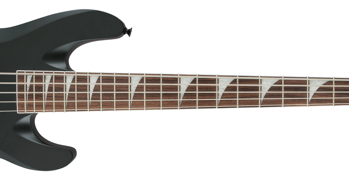 X Series Signature David Ellefson Concert™ Bass CBX V X Series Signature David Ellefson Concert™ Bass CBX V